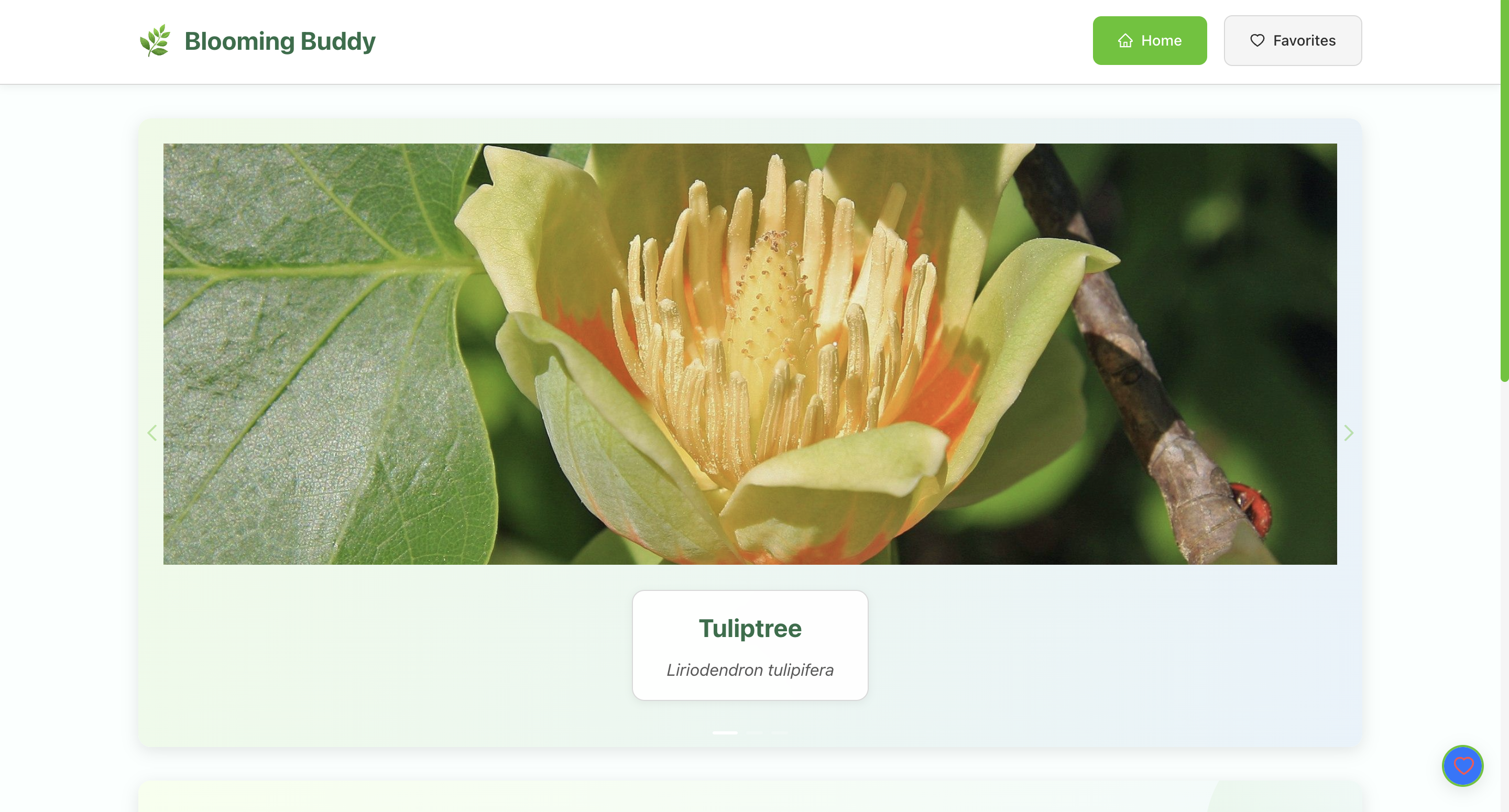 Blooming Buddy - Your Plant Care Companion - Image 1